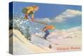 Stretched Canvas Print