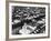 Skilled Female Operators Working in Coning Room, Industrial Rayon Corp. Plant-Margaret Bourke-White-Framed Photographic Print