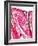 Skin Section, Light Micrograph-Dr. Keith Wheeler-Framed Photographic Print