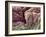 Skin Tissue, SEM-Steve Gschmeissner-Framed Photographic Print