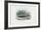 Skink, 1863-79-Raimundo Petraroja-Framed Giclee Print