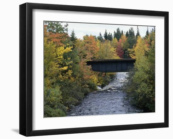 Skinner Brook, Nova Scotia, Canada-null-Framed Photographic Print