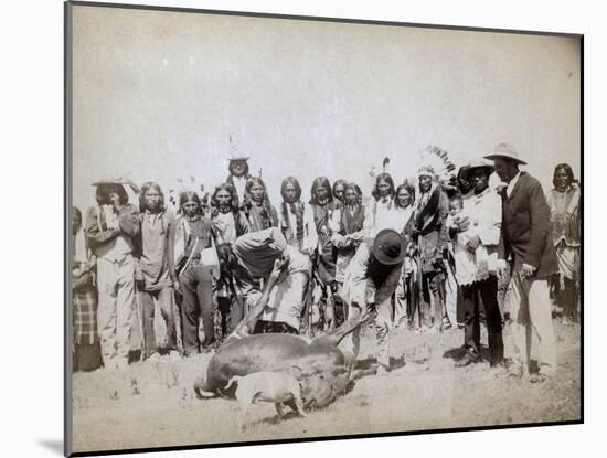 Skinning beef, 1891-John C. H. Grabill-Mounted Photographic Print