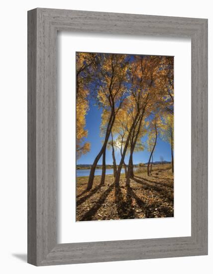 Skinny Fall-Bob Larson-Framed Art Print