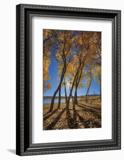 Skinny Fall-Bob Larson-Framed Art Print