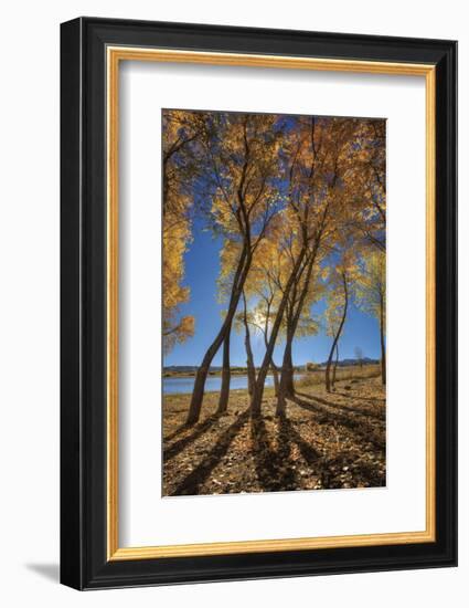 Skinny Fall-Bob Larson-Framed Art Print