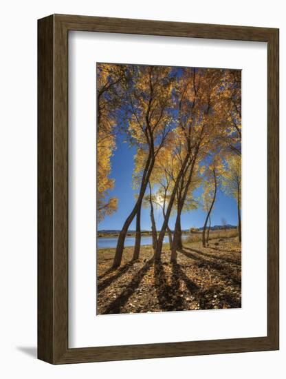 Skinny Fall-Bob Larson-Framed Art Print