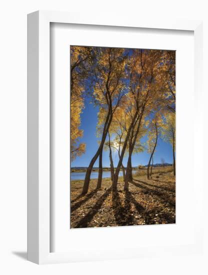 Skinny Fall-Bob Larson-Framed Art Print