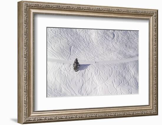 Skipiste, Snow, Skispuren, Skiers, Tree Austria-Roland T.-Framed Photographic Print