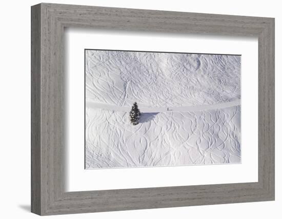 Skipiste, Snow, Skispuren, Skiers, Tree Austria-Roland T.-Framed Photographic Print