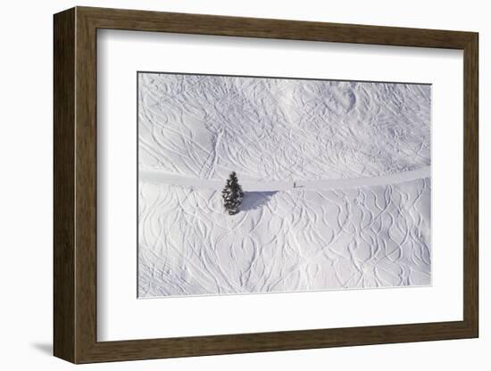 Skipiste, Snow, Skispuren, Skiers, Tree Austria-Roland T.-Framed Photographic Print