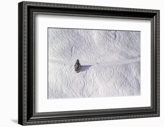 Skipiste, Snow, Skispuren, Skiers, Tree Austria-Roland T.-Framed Photographic Print