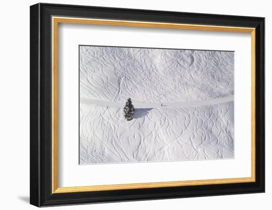 Skipiste, Snow, Skispuren, Skiers, Tree Austria-Roland T.-Framed Photographic Print