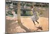 Skipping Rope, La Granja, 1907 (Oil on Canvas)-Joaquin Sorolla y Bastida-Mounted Giclee Print