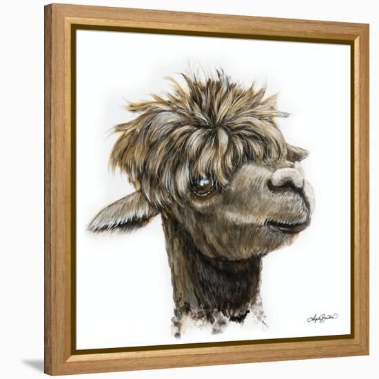 Skippy the Alpaca-Angela Bawden-Framed Stretched Canvas