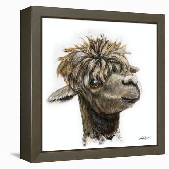 Skippy the Alpaca-Angela Bawden-Framed Stretched Canvas