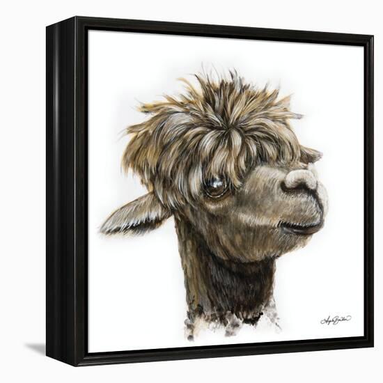 Skippy the Alpaca-Angela Bawden-Framed Stretched Canvas