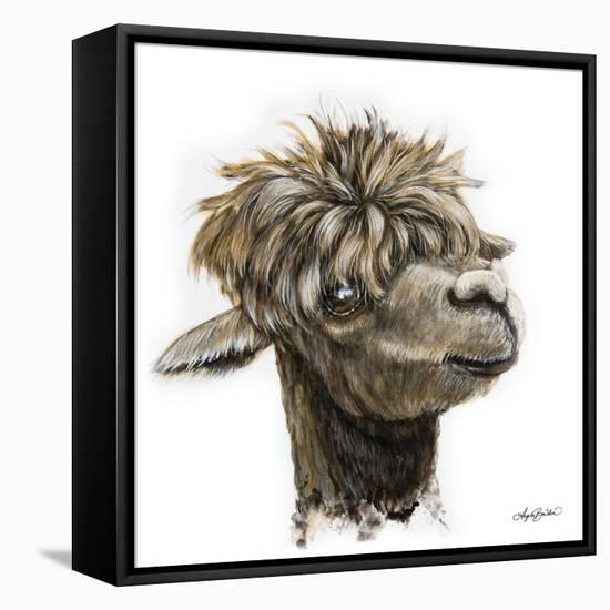 Skippy the Alpaca-Angela Bawden-Framed Stretched Canvas