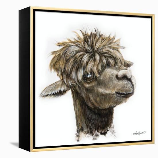 Skippy the Alpaca-Angela Bawden-Framed Stretched Canvas