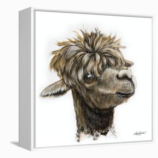 Skippy the Alpaca-Angela Bawden-Framed Stretched Canvas