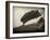 Skipshots-David Baker-Framed Photographic Print