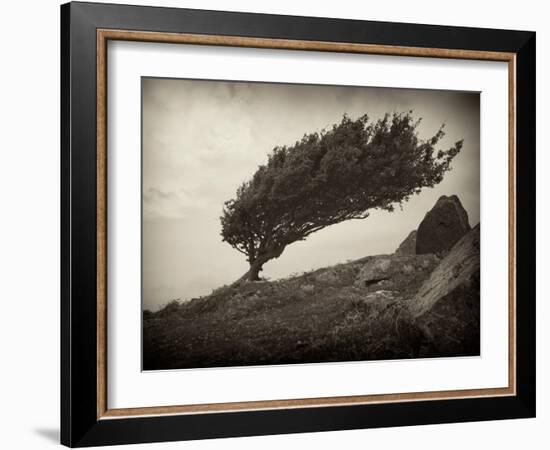 Skipshots-David Baker-Framed Photographic Print