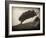 Skipshots-David Baker-Framed Photographic Print