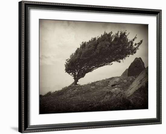 Skipshots-David Baker-Framed Photographic Print