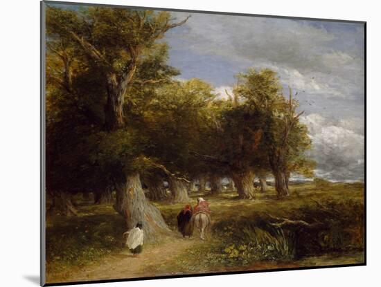 Skirts of the Forest, 1855 (Oil on Canvas)-David Cox-Mounted Giclee Print