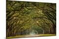 Photographic Print