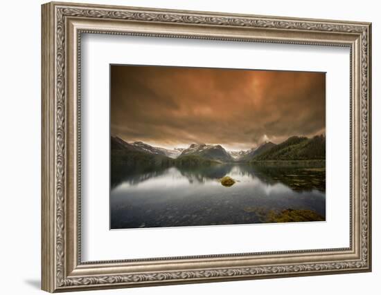 Skittish Heaven-Viviane Fedieu Daniel-Framed Photographic Print