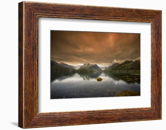 Skittish Heaven-Viviane Fedieu Daniel-Framed Photographic Print