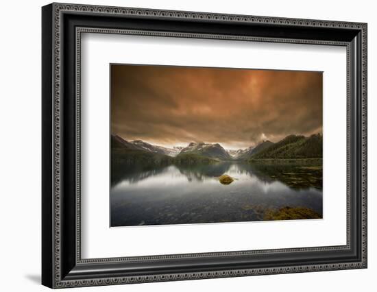 Skittish Heaven-Viviane Fedieu Daniel-Framed Photographic Print