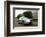 Skoda SUPERB 2008-Simon Clay-Framed Photographic Print