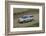 Skoda Yeti 2009-Simon Clay-Framed Photographic Print