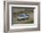 Skoda Yeti 2009-Simon Clay-Framed Photographic Print