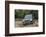 Skoda Yeti 2009-Simon Clay-Framed Photographic Print