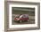 Skoda Yeti 2009-Simon Clay-Framed Photographic Print