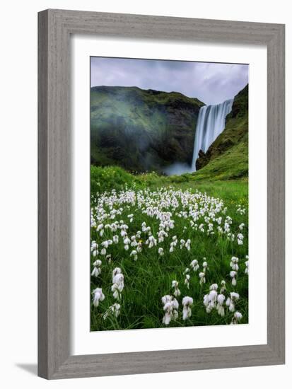 Skogafoss and Summer Wildflowers in the Morning Iceland-Vincent James-Framed Photographic Print