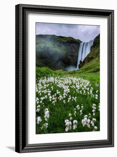 Skogafoss and Summer Wildflowers in the Morning Iceland-Vincent James-Framed Photographic Print