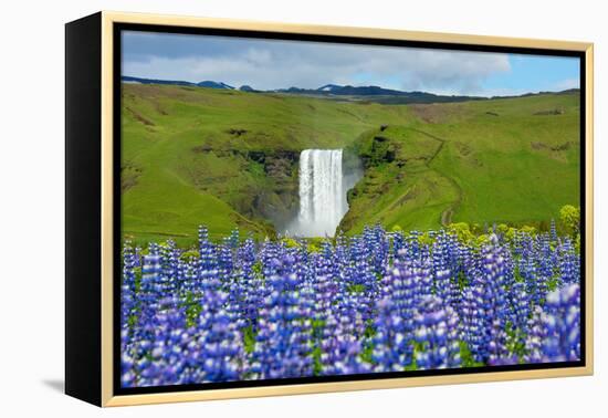 Skogafoss, Lupins in the Foreground-Catharina Lux-Framed Premier Image Canvas