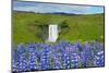 Skogafoss, Lupins in the Foreground-Catharina Lux-Mounted Photographic Print