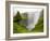 Skogarfoss Waterfall Plunges Over a Volcanic Cliff, Iceland-Don Grall-Framed Photographic Print