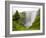 Skogarfoss Waterfall Plunges Over a Volcanic Cliff, Iceland-Don Grall-Framed Photographic Print