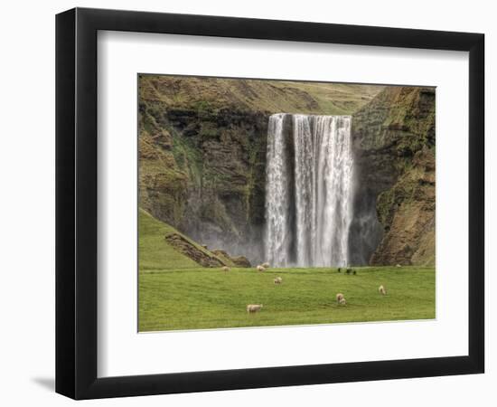 Skogarfoss with grazing sheep-null-Framed Photographic Print