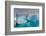 Skontorp cove, Paradise Bay, Antarctica.-Sergio Pitamitz-Framed Photographic Print