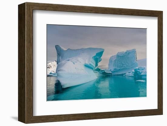 Skontorp cove, Paradise Bay, Antarctica.-Sergio Pitamitz-Framed Photographic Print