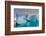 Skontorp cove, Paradise Bay, Antarctica.-Sergio Pitamitz-Framed Photographic Print