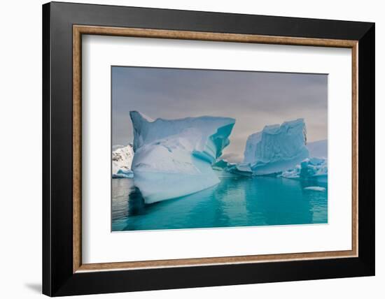 Skontorp cove, Paradise Bay, Antarctica.-Sergio Pitamitz-Framed Photographic Print