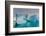 Skontorp cove, Paradise Bay, Antarctica.-Sergio Pitamitz-Framed Photographic Print